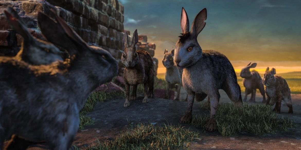 Sulla collina dei conigli il senso misterioso  della vita in comune