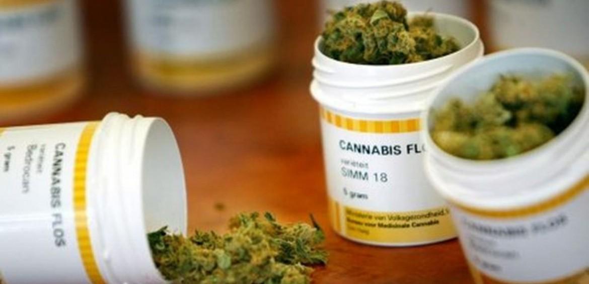 La Sicilia apre alla possibilità di coltivare cannabis terapeutica sull’isola