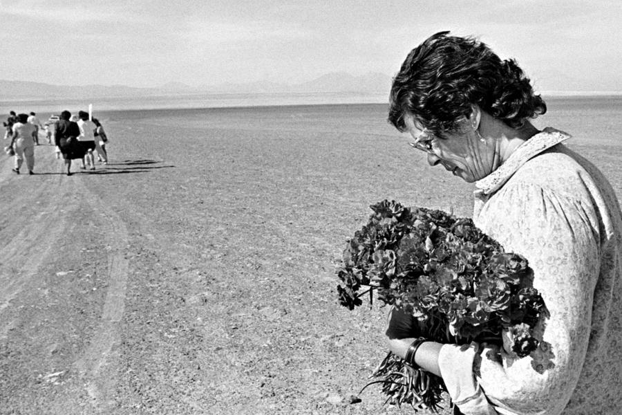 Fiori per i caduti nel deserto di Atacama, foto di Paula Allen