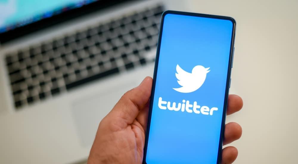 Twitter, un esercito  di ratti contro la spunta blu a pagamento