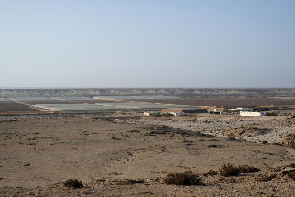 Faraonici e illegali, i progetti del re del Marocco sul Sahara Occidentale