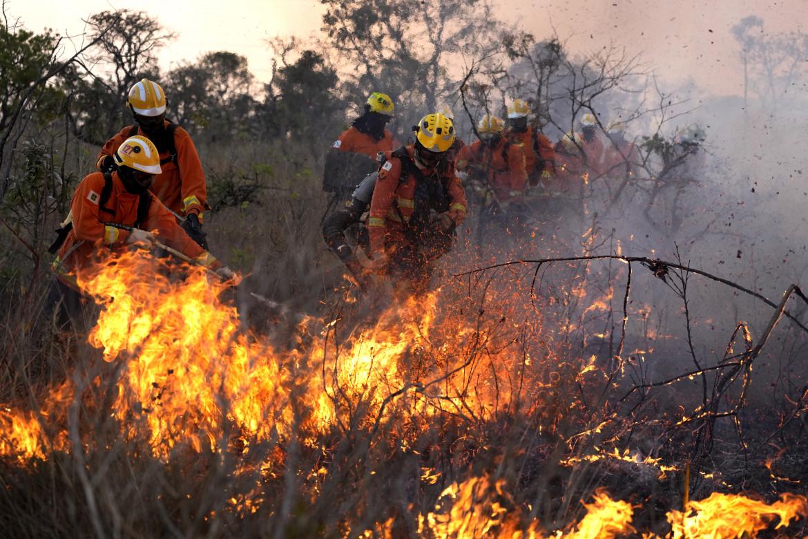 Incendio nel Cerrado brasiliano, foto Ap