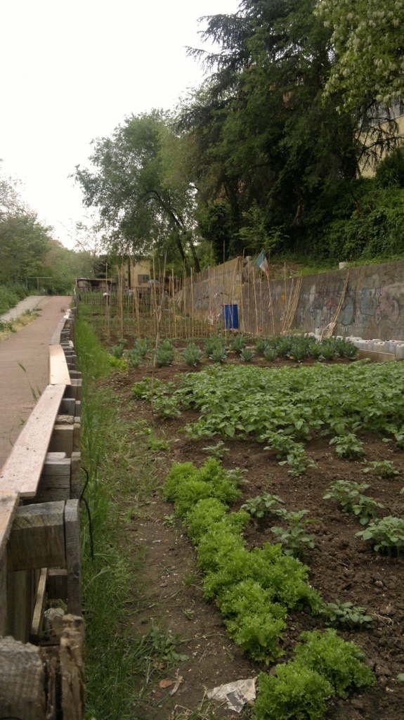 Anche a Roma orti sovversivi