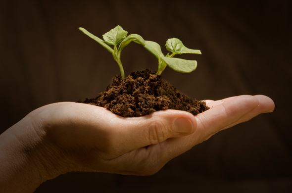 Per una ripresa resiliente non basta il trucco verde