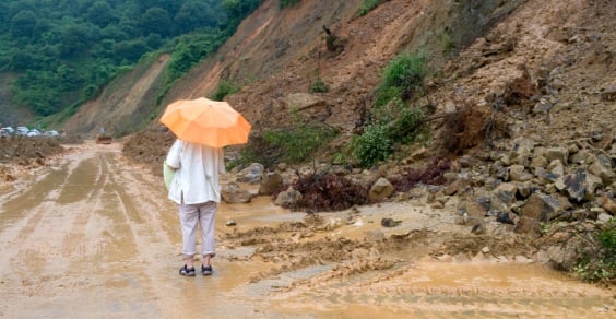 Il prezzo di mercato della natura, il nuovo asset della finanza