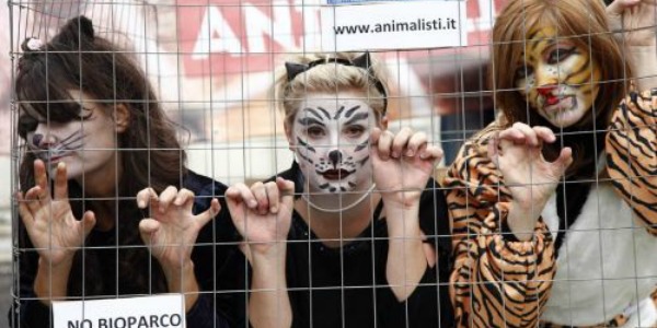 L’animale che è in noi