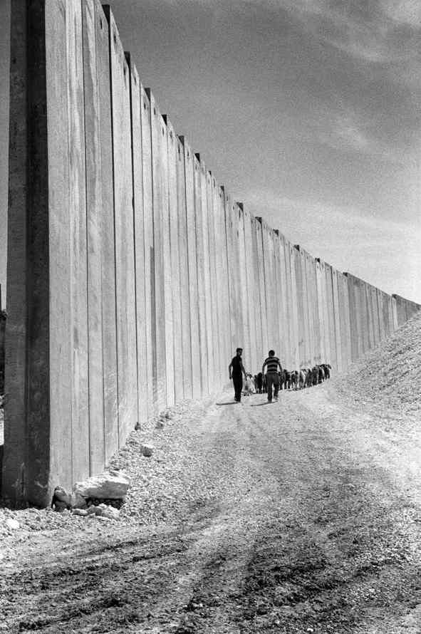 La memoria collettiva parte dalla Nakba