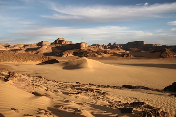 Un’antica strategia alimentare nel deserto