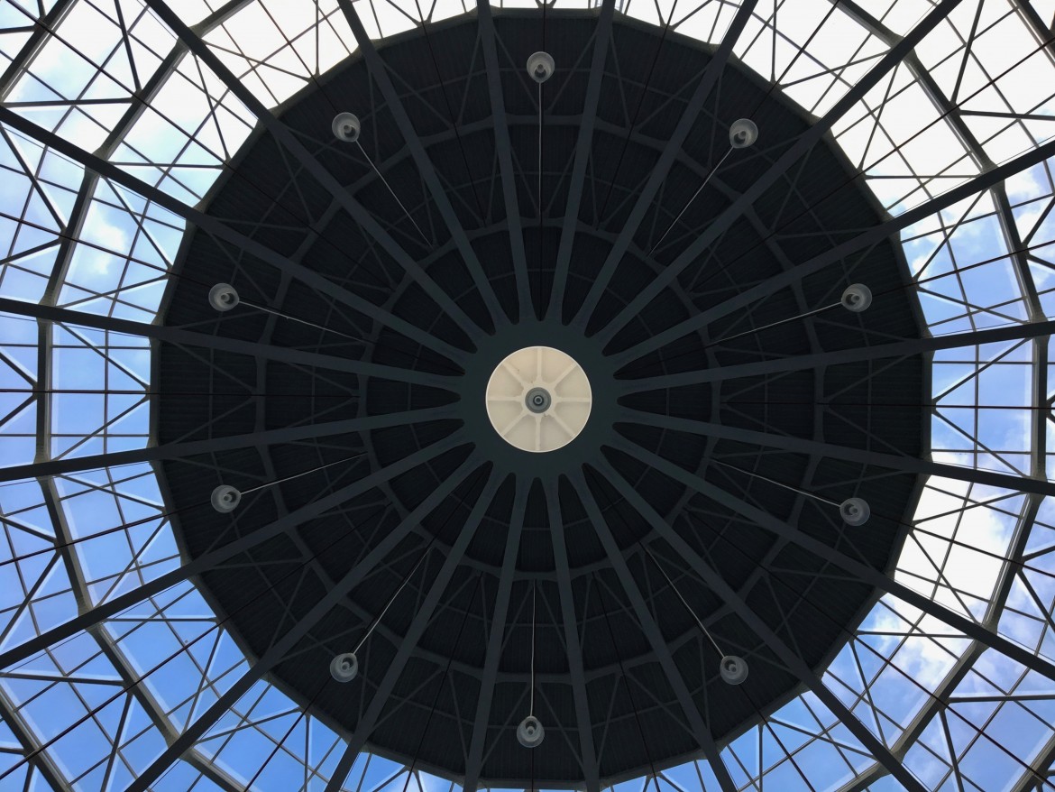 3-cupola