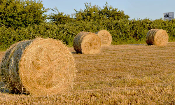 La Rete Italiana dei Villaggi Ecologici