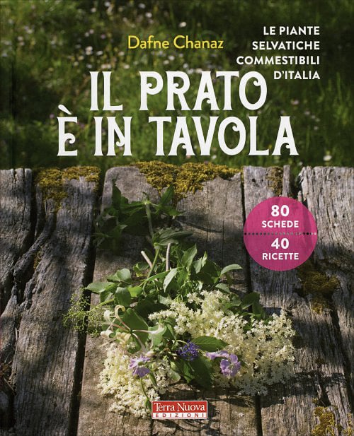 La biodiversità di erbe e erbacce, un tesoro da gustare in tavola