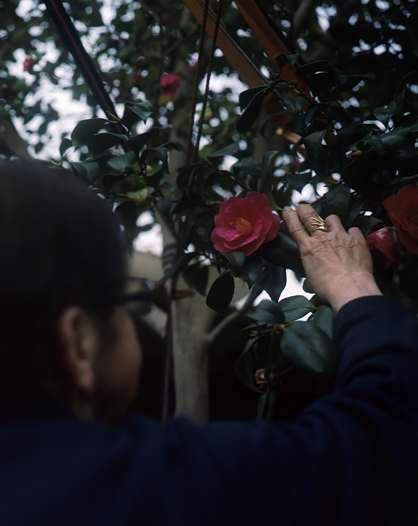 yasmina-benabderrahmane-vanda-e-la-camelia-lezioni-di-resistenza