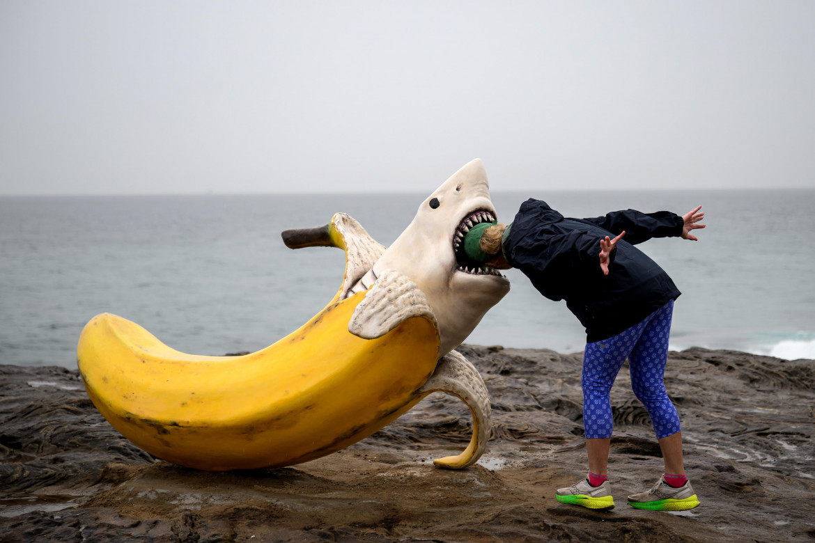 La scultura Sharnana di Drew McDonald, alla mostra openair Sculpture by the Sea lungo la passeggiata costiera da Bondi a Tamarama a Sydney, in Australia (Bianca de Marchi, Ansa)