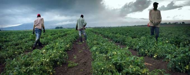 L’«emergenza» del Nord Africa. Mai risolta