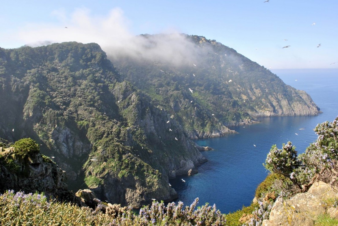 La più piccola dell’Arcipelago Toscano