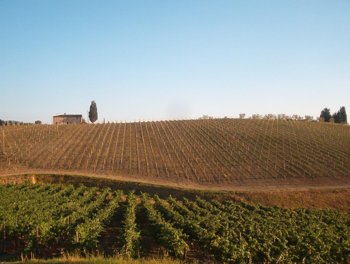 Paesaggio toscano salvato