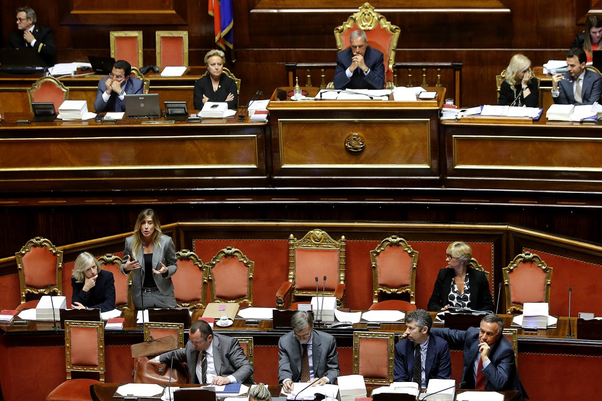 Il senato del canguro