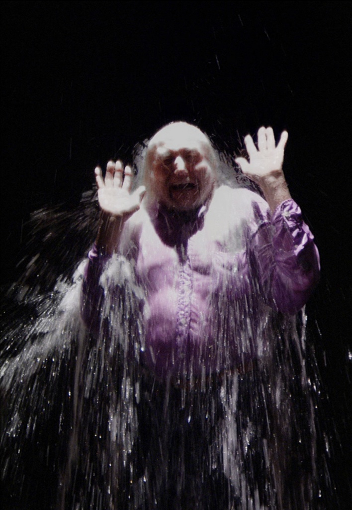 Bill Viola, hardware tecnologico e software del corpo