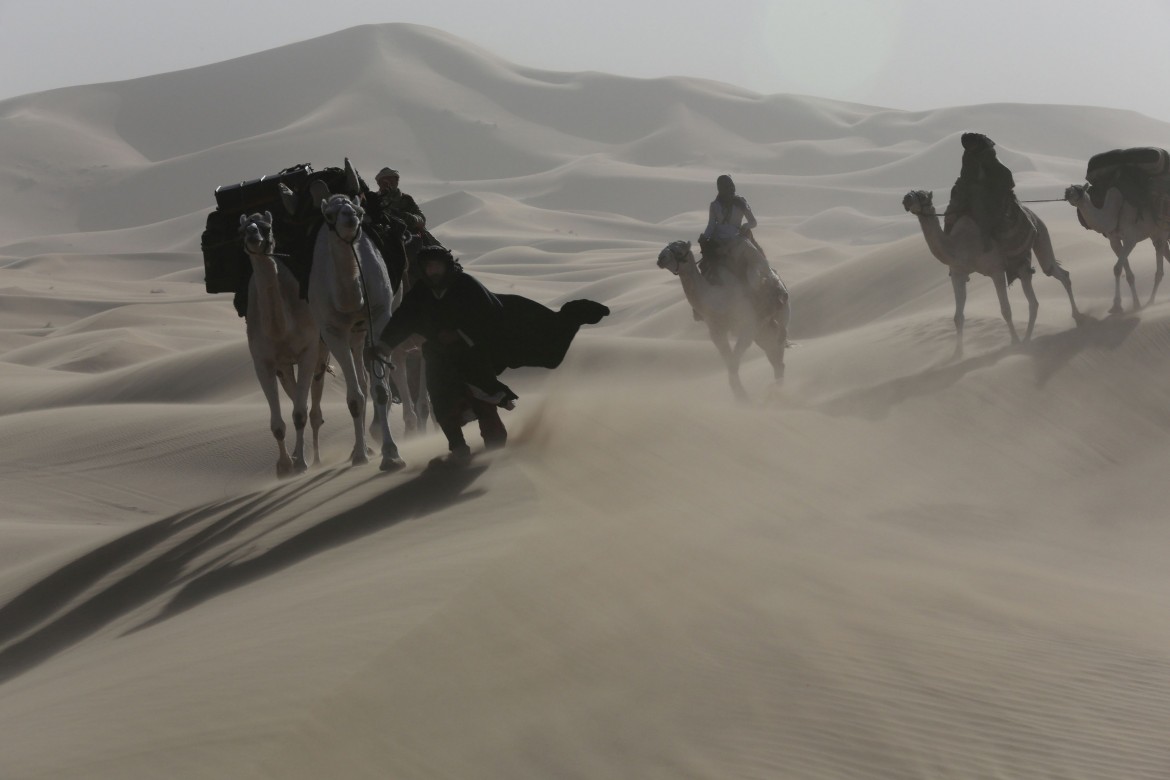 Herzog e la signora del deserto