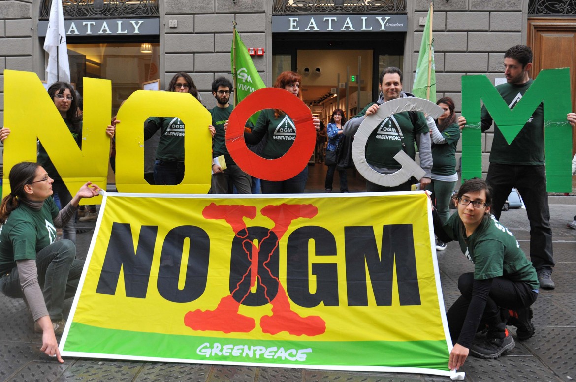 Corte Ue: le ong potranno agire legalmente contro gli Ogm