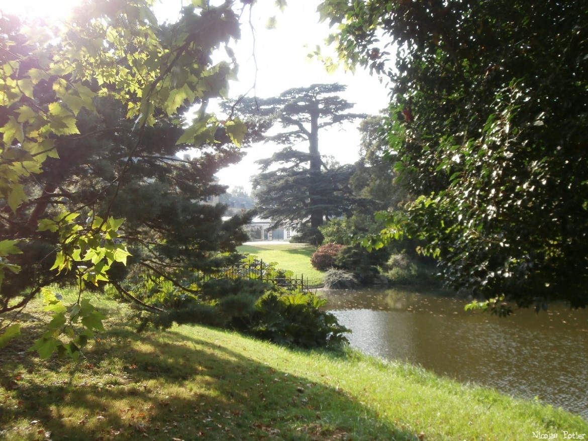 Giardini di resistenza