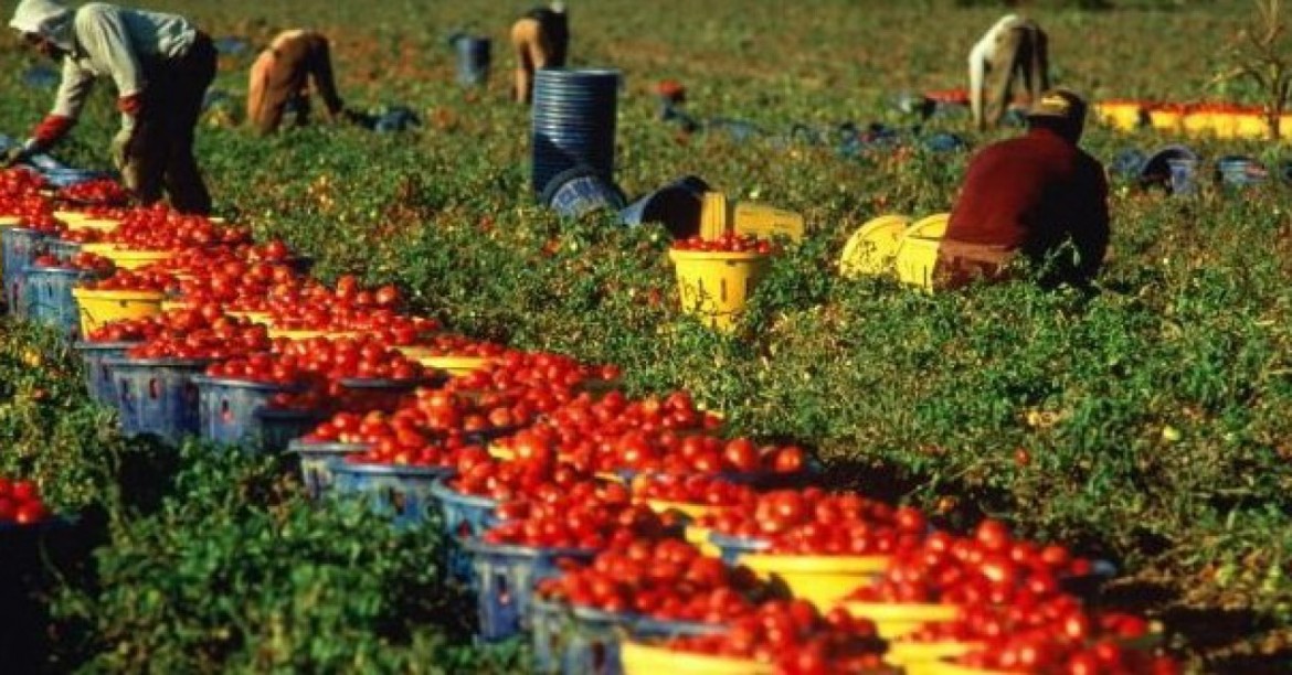 Tavolo regionale contro il lavoro nero. Nuove ispezioni e sanzioni