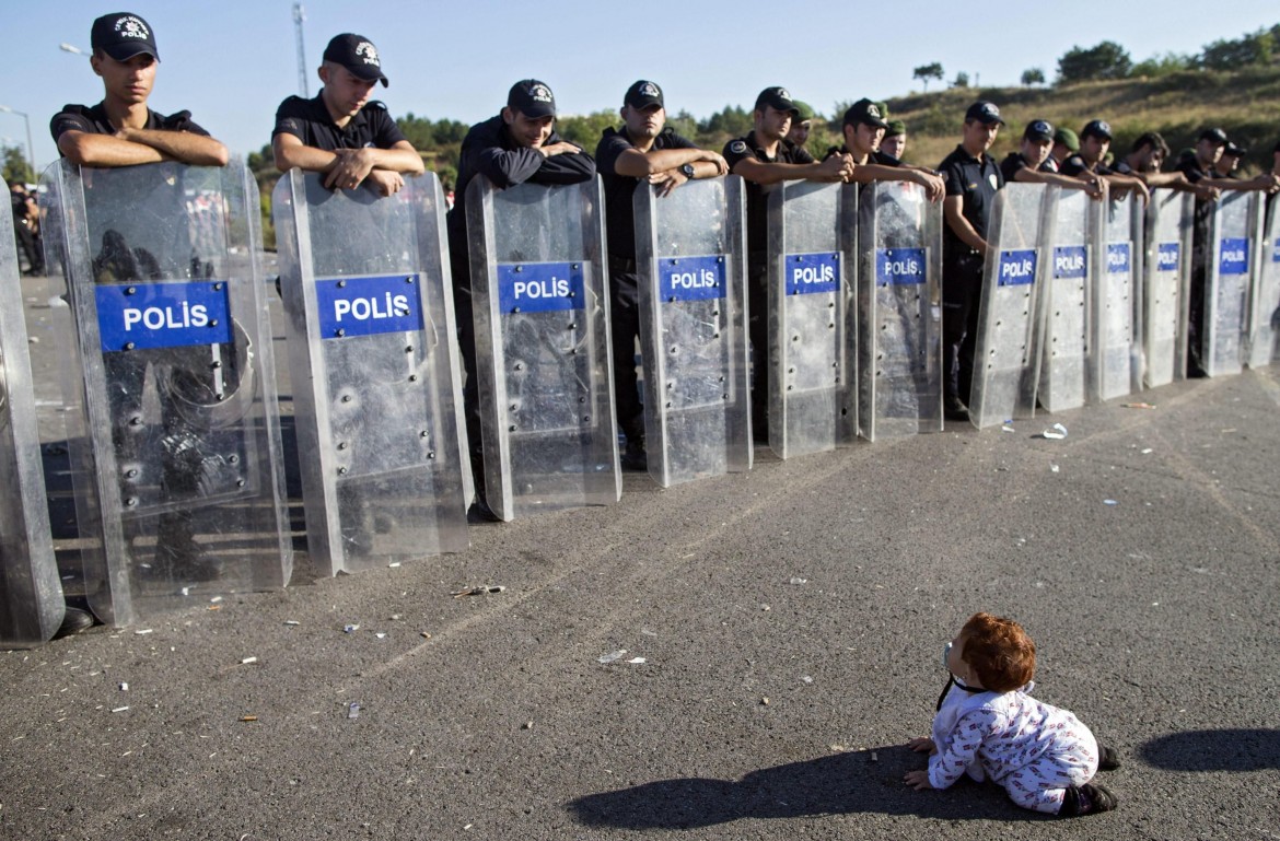 Gattonando sui confini, la foto è virale