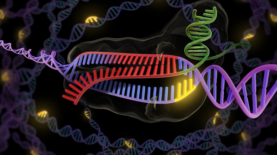 Un Dna da copia e incolla