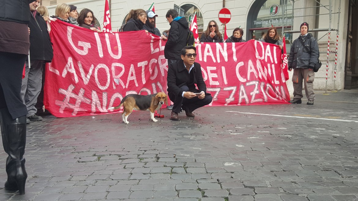 Roma, canili sgomberati e operatori senza lavoro