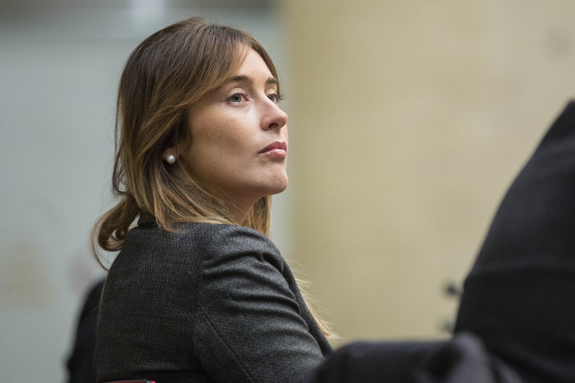 Boschi alla Sapienza, domande filtrate