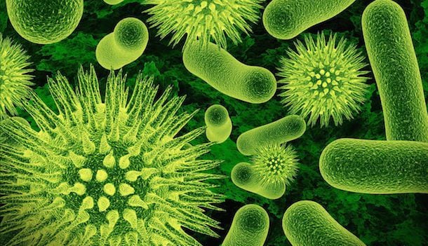 Antibiotici, dove nasce la minaccia dei superbatteri