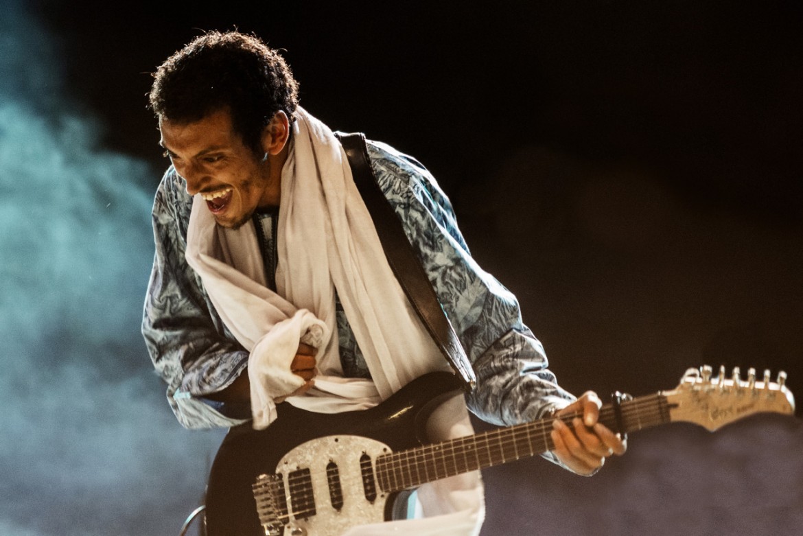 Bombino, la forza delle radici