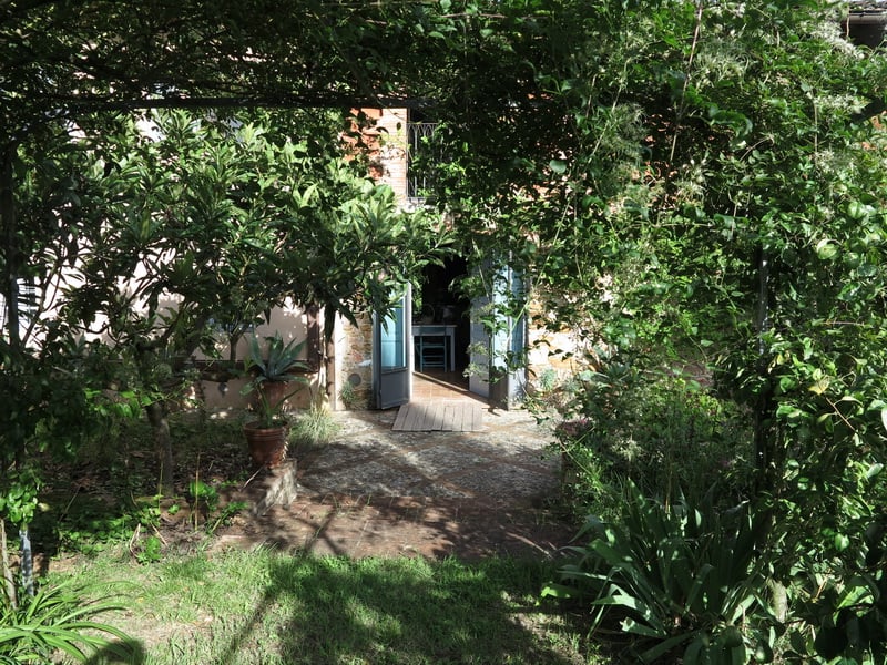 Antonio Perazzi e il flusso della vegetazione