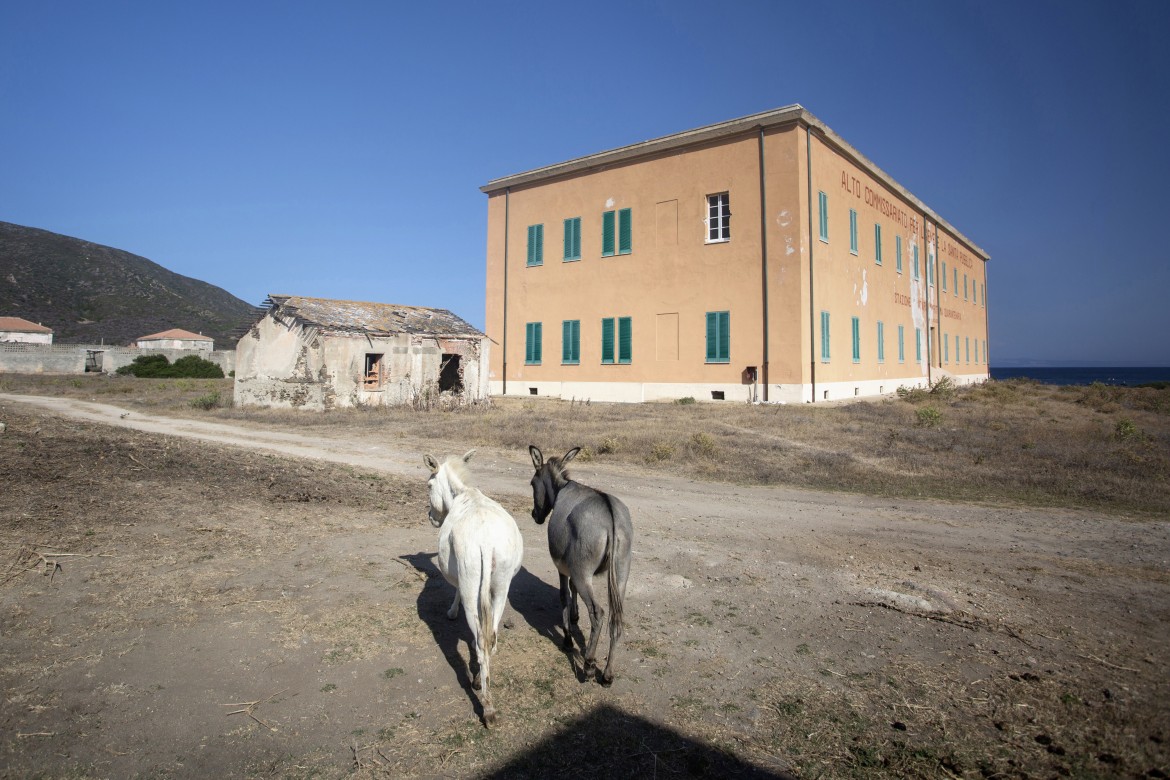 Le tante vite dell’Asinara