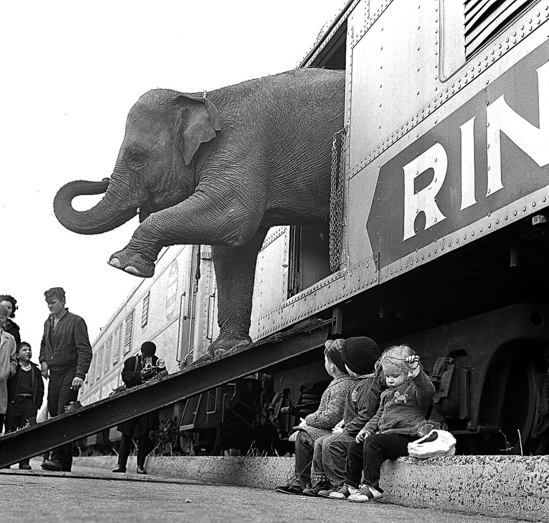 A Ringling Brothers Circus elephant walks out of a train car as young children watch in the Bronx railroad yard in New York City, April 1, 1963