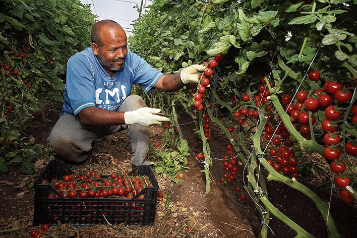 «La buona terra», volti  e legalità in agricoltura