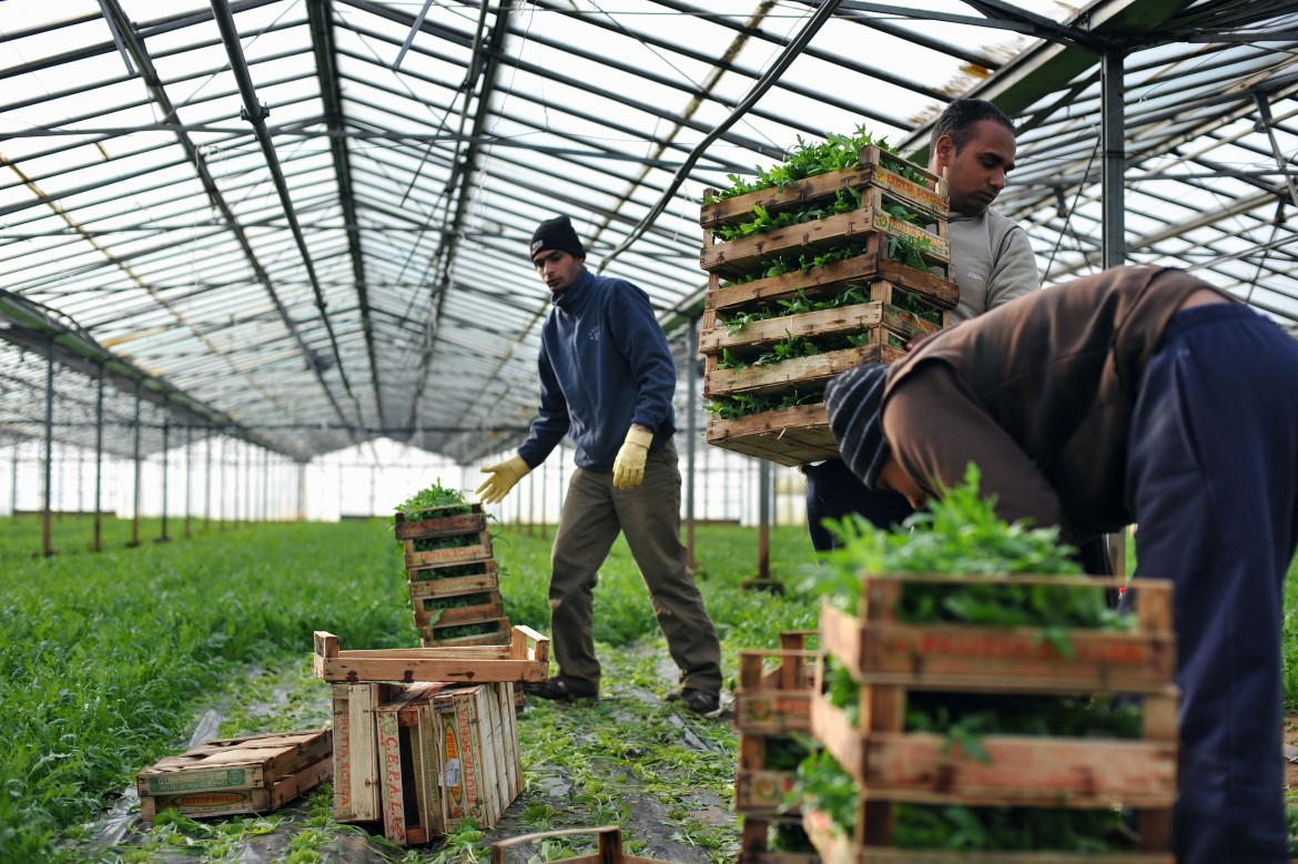 «Sono tutto campo e camper»