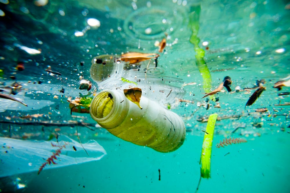 La Corte Ue riapre ai sacchetti di plastica monouso