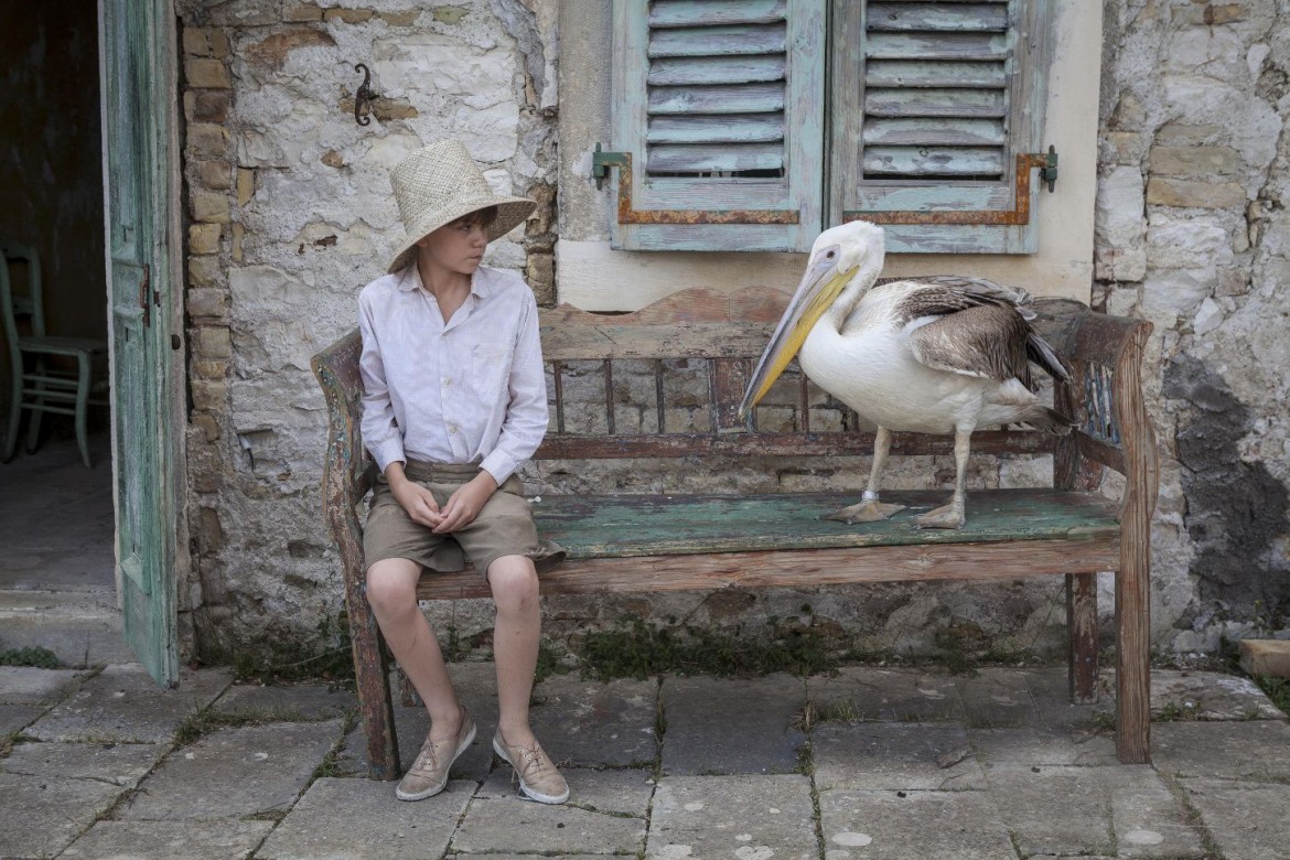 A Corfù di famiglie a altri animali