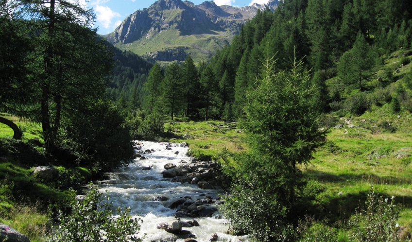 I parchi cambiano pelle e senza il benestare degli ambientalisti