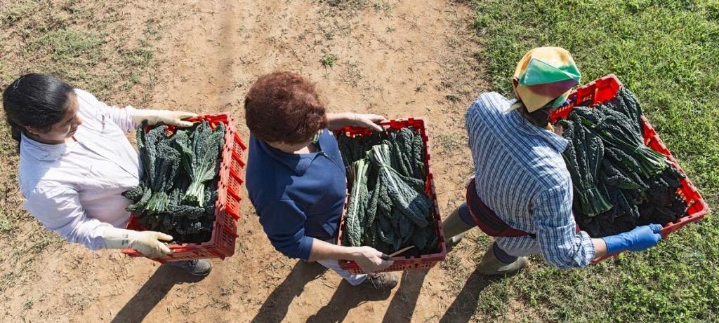 Schiavizzate e insultate,  retata anti-caporali in Puglia