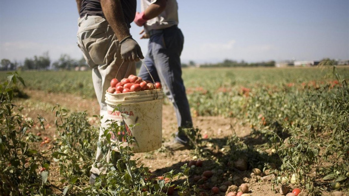 Caporalato in Sardegna: sfruttati nei campi, la trappola nel Cas