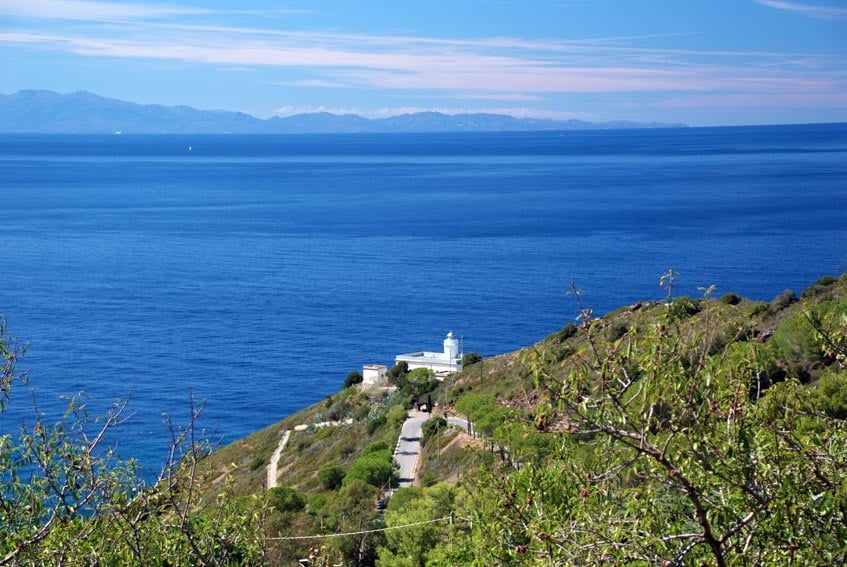 Ecoincubo all’Elba: il piano della Difesa per il Faro di Patresi