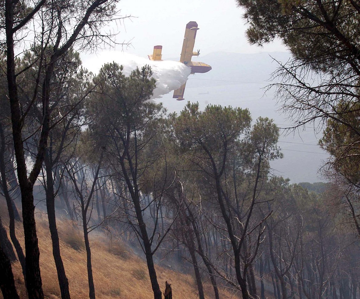 Incendi e cemento, il triste primato della Calabria