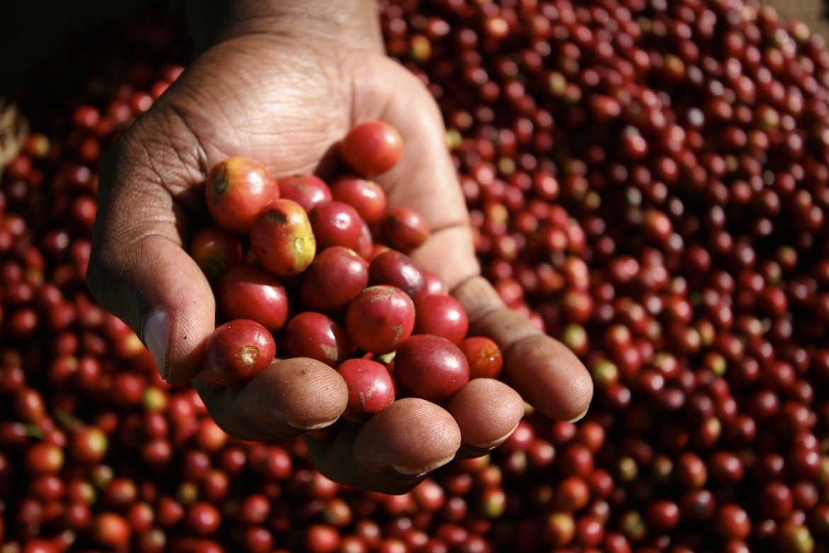 Il caffè orizzontale