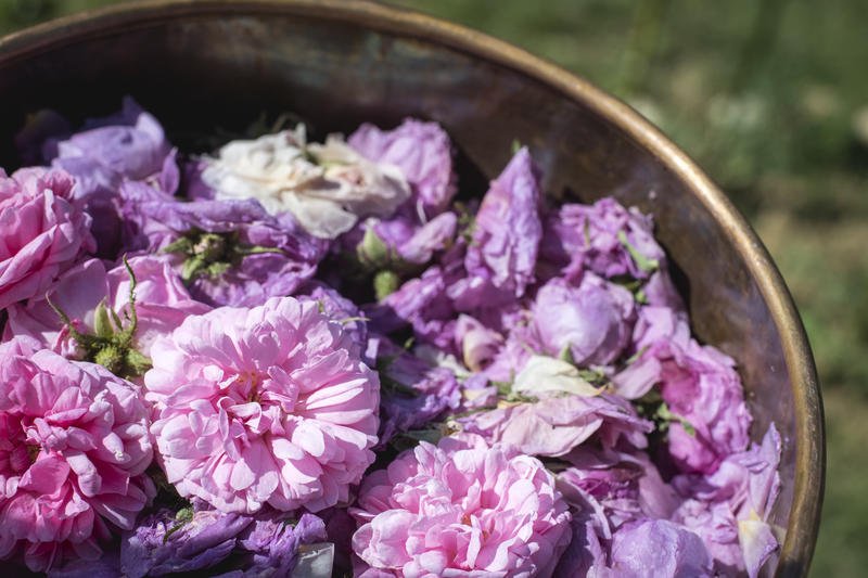 Le periferie bagnate con l’acqua di rose