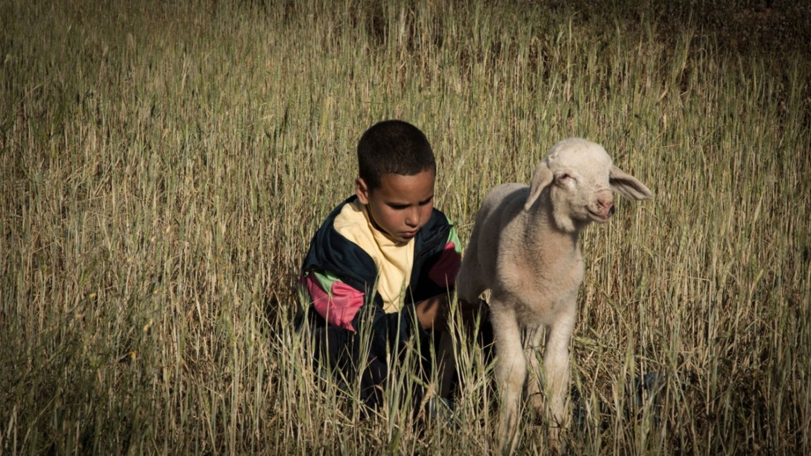 Una storia di formazione dal Marocco all’Italia