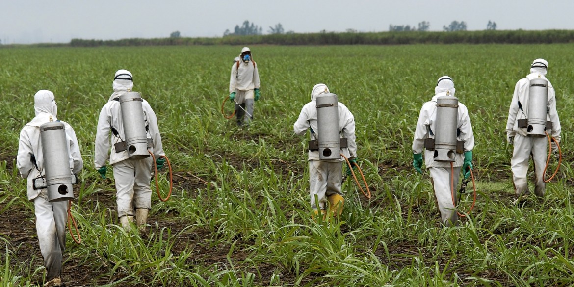 Glifosato: ancora nessuna decisione Ue