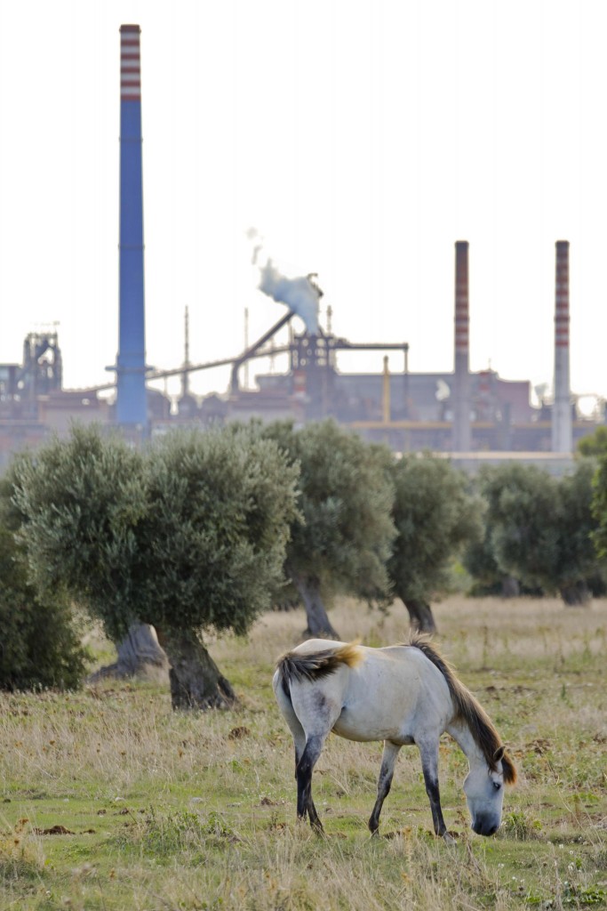 Ilva, oggi il parere del ministero dell’Ambiente. Via libera a Mittal?