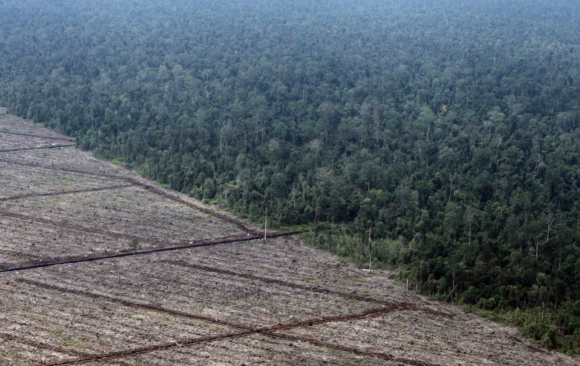 Failing Nature, tredici aree naturali  in Ue dove la biodiversità è a rischio